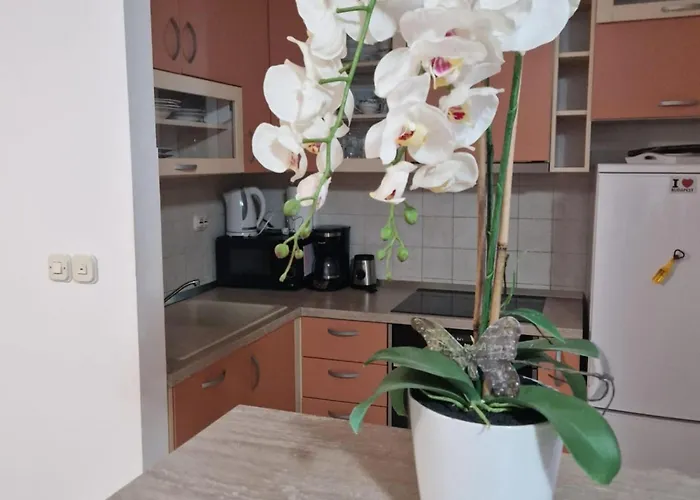 Antonia - Two-bedroom With Sea View Appartement *