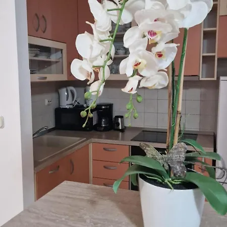 Antonia - Two-bedroom With Sea View شقة *